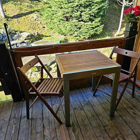 Gemuetliche Fewo Mit Sauna Inmitten Der Berge Meiringen Zewnętrze zdjęcie