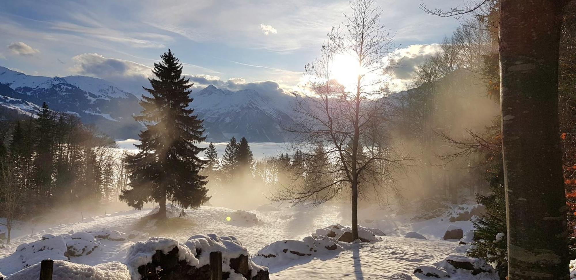 Gemuetliche Fewo Mit Sauna Inmitten Der Berge Meiringen Zewnętrze zdjęcie