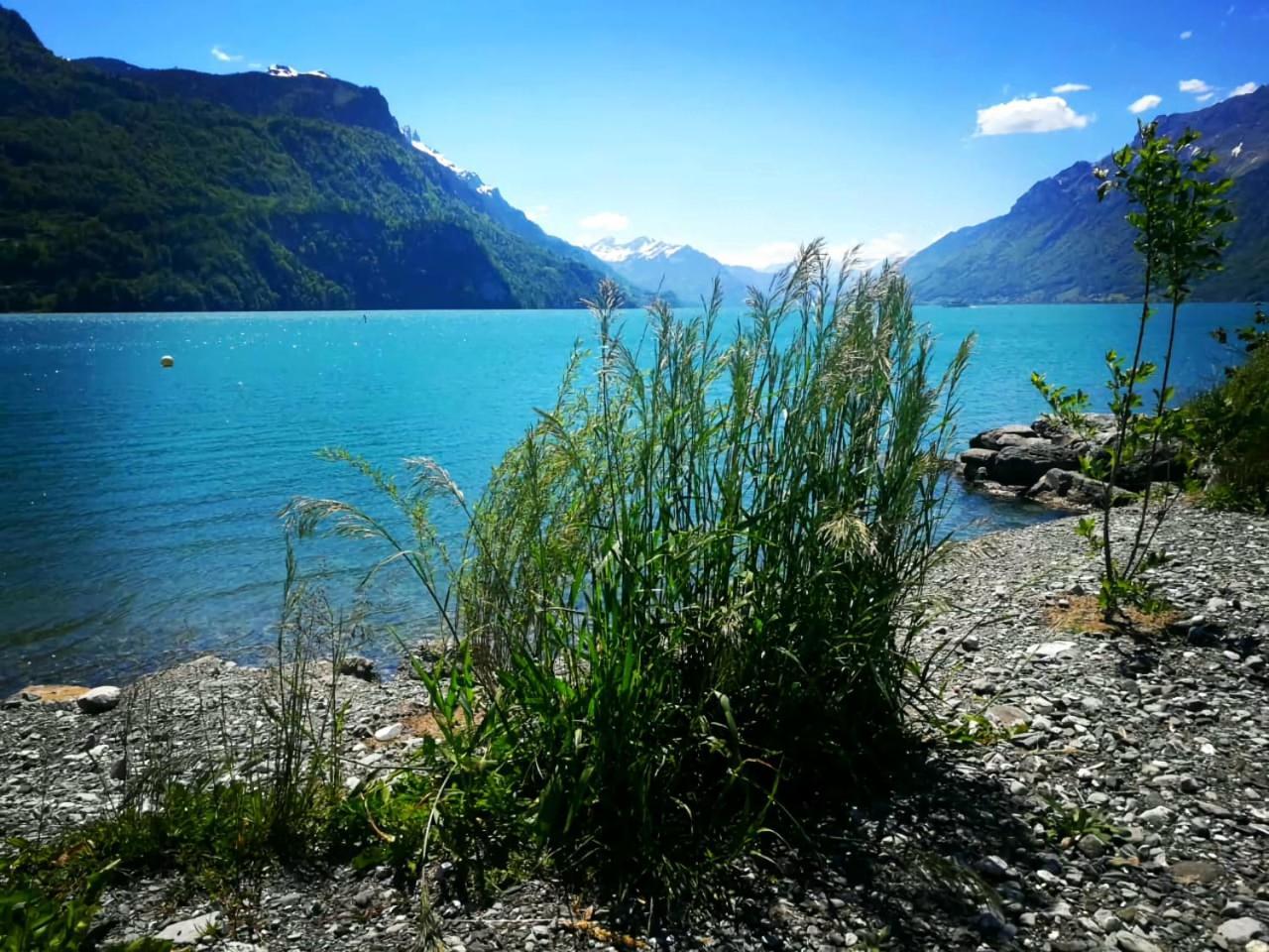 Gemuetliche Fewo Mit Sauna Inmitten Der Berge Meiringen Zewnętrze zdjęcie