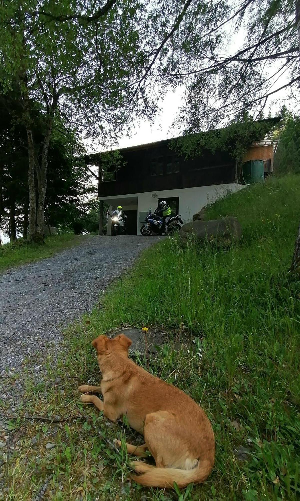 Gemuetliche Fewo Mit Sauna Inmitten Der Berge Meiringen Zewnętrze zdjęcie