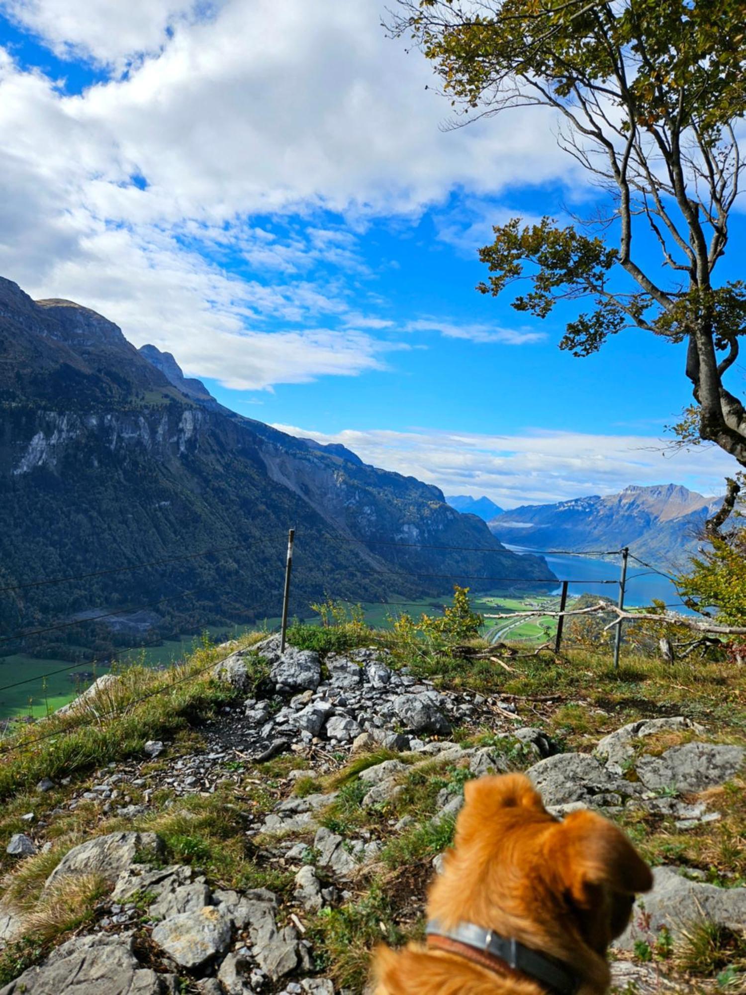 Gemuetliche Fewo Mit Sauna Inmitten Der Berge Meiringen Zewnętrze zdjęcie