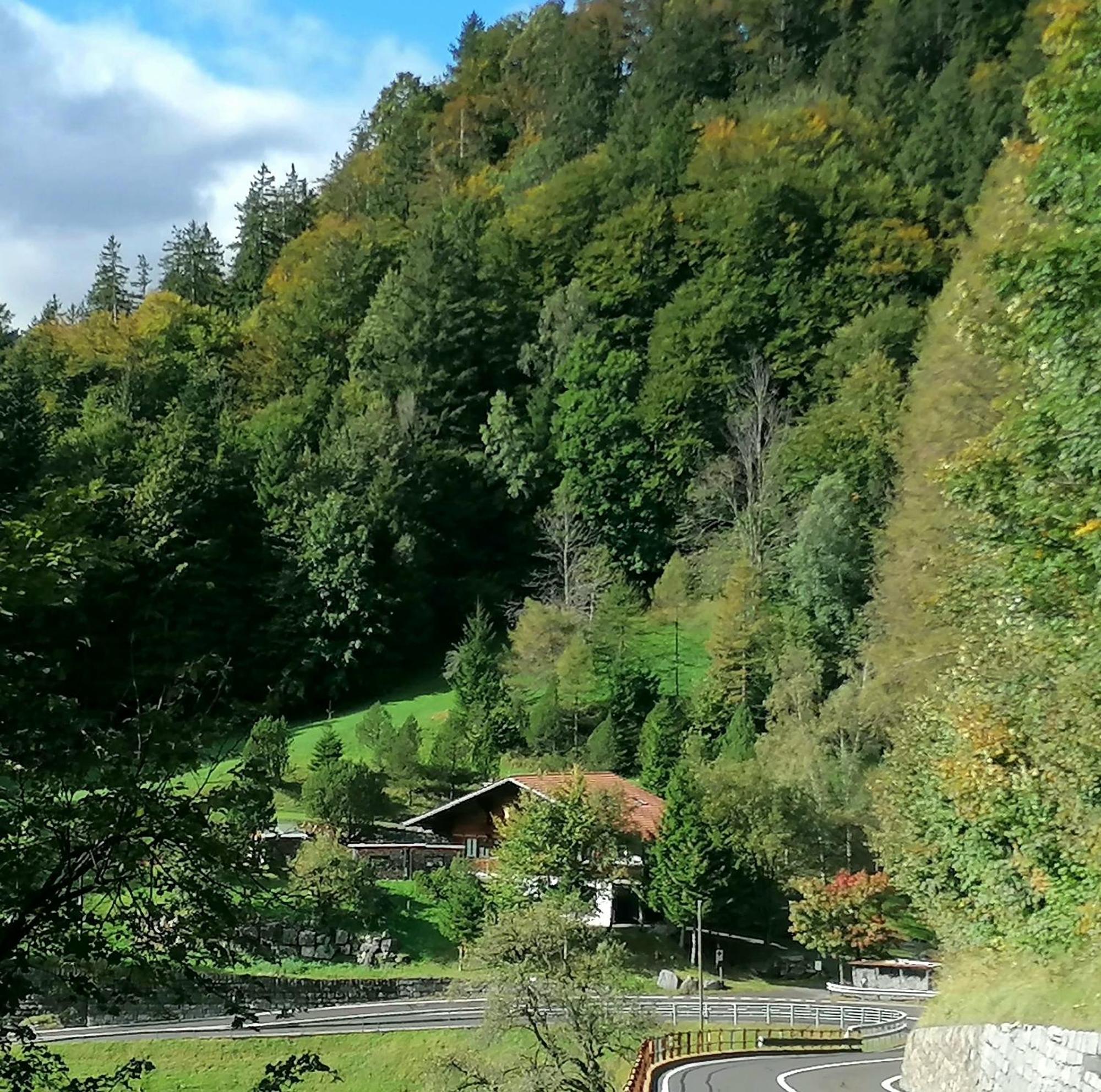 Gemuetliche Fewo Mit Sauna Inmitten Der Berge Meiringen Zewnętrze zdjęcie